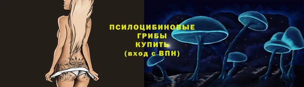apvp Козловка